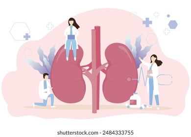 In: Kidney Healthcare Vektorgrafik Concept. Ärzte suchen nach Informationen zur Diagnose von Harnwegserkrankungen: Nierenversagen, Nierensteine, Behandlung von Pyelonephritis, Medizinisches Konzept.