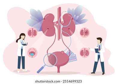 Concepto de Vector de salud renal. Los médicos buscan información para diagnosticar la enfermedad del tracto urinario: insuficiencia renal, cálculos renales, pielonefritis, cistitis, concepto médico.