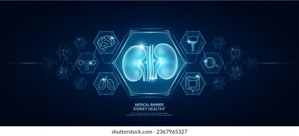 Kidney healthy. Human organs icon symbols. Medical science banner design template. Health care medical check up too innovative futuristic digital technology. Examining organ and heart pulse. Vector.