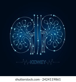 Kidney human in electronic form glowing between information connecting lines. Medical science of technology digital hi tech. Futuristic digital circuit board innovative health care. Vector EPS10.