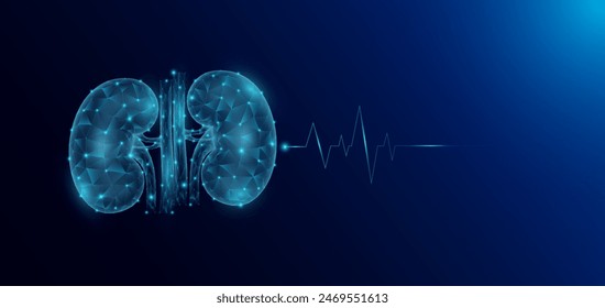 Niere menschliche Organ Anatomie in Form Polygon Low Poly futuristisch und Pulswellen glühen. Banner der medizinisch-wissenschaftlichen Vorlage mit leerem Textbereich. Vektorgrafik EPS10 Abbildung.