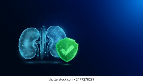 Anatomía del órgano humano del riñón en estilo poligonal con marca de verificación en el escudo verde que brilla sobre fondo azul oscuro. Símbolo de protección de la ciencia médica. Anuncio espacio en blanco para texto. Vector EPS10.