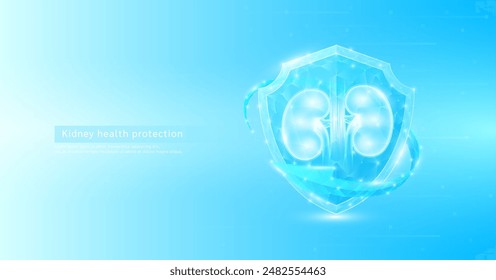 Kidney human organ anatomy style polygonal in shield glowing surrounded by blue arrows. Medical science protection symbol. Health care concept. Banner vector EPS10.