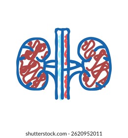 rim órgão humano doodle ícone esboço vetor. sinal de órgão humano rim. símbolo isolado ilustração