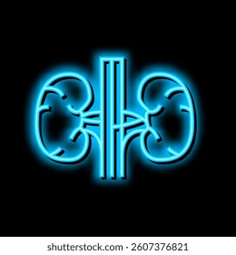 kidney human organ neon light sign vector. kidney human organ illustration