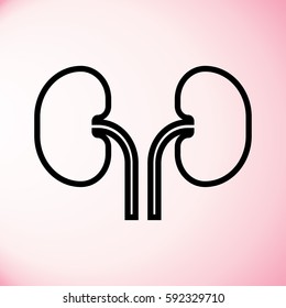 Kidney Icon