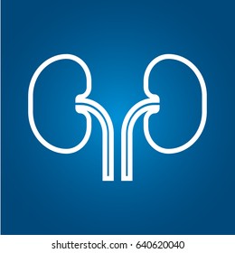 Kidney Icon