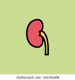 kidney icon