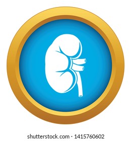 Kidney icon blue vector isolated on white background for any design
