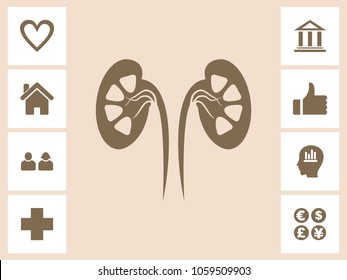 Kidney Icon With Bonus Icons. Eps-10.