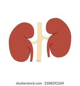 kidney icon of color style design vector template