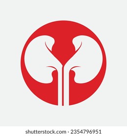 Kidney icon design vector illustration.