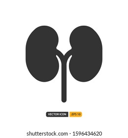 kidney icon in filled style. Vector logo design template. Modern design icon, symbol, logo and illustration. Vector graphics illustration and editable stroke. Isolated on white background.