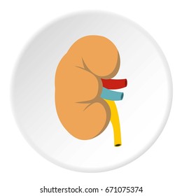 Kidney icon in flat circle isolated vector illustration for web