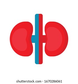 Kidney Icon Flat Design Illustrator Vector