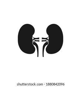 Icono de riñón estilo plano aislado en fondo blanco. Ilustración del vector