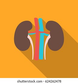 Kidney icon in flat style isolated on white background. Organs symbol stock vector illustration.