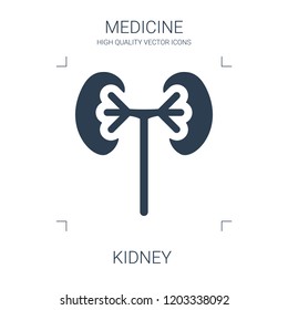 kidney icon. high quality filled kidney icon on white background. from medical collection flat trendy vector kidney symbol. use for web and mobile