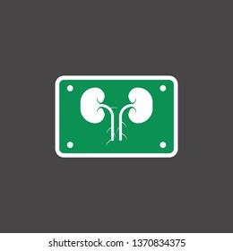 kidney icon. human sign