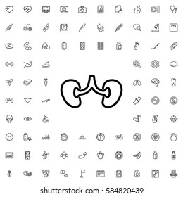 kidney icon illustration isolated vector sign symbol. Health icons set.