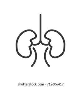 Kidney icon, illustration isolated vector sign symbol
