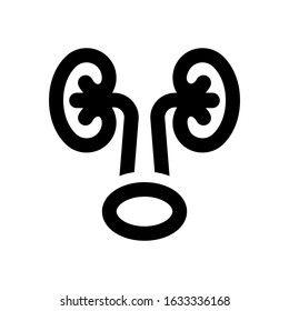 kidney icon on white background