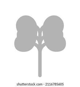 kidney icon on a white background, vector illustration