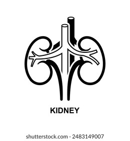 Kidney icon. Organs in the body isolated on background vector illustration.