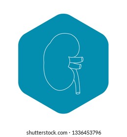 Kidney icon. Outline illustration of kidney vector icon for web