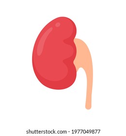 Kidney icon. A red kidney resembling a bean. Serves to filter waste to collect the gastric ulcer.