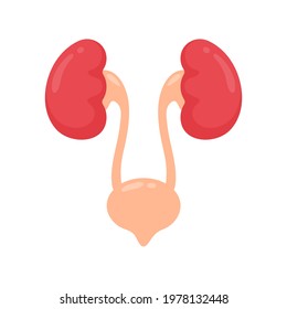 Kidney icon. A red kidney resembling a bean. Serves to filter waste to collect the gastric ulcer.