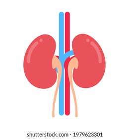 Icono del riñón. Un riñón rojo que se parece a un frijol. Sirve para filtrar los residuos para recoger la úlcera gástrica.