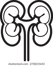 Kidney icon representing urinary system and organ health. Line art for medical and biological concepts. Simple graphic on transparent background for healthcare and anatomy.
