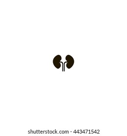 kidney icon. kidney sign