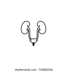 kidney icon. sign design