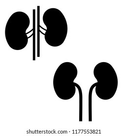 Kidney icon, silhouette, logo on white background