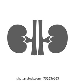 Kidney icon in trendy flat style isolated on white background. Symbol for your web site design, logo, app, UI. Vector illustration, EPS