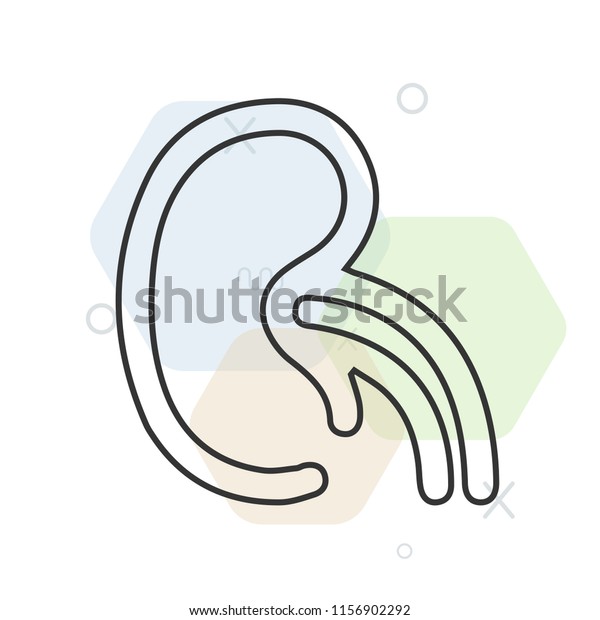 kidney icon vector can be used stock vector royalty free 1156902292 shutterstock