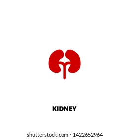 kidney icon. kidney vector design. sign design. red color