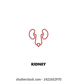 kidney icon. kidney vector design. sign design. red color