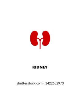 kidney icon. kidney vector design. sign design. red color