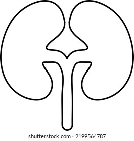 kidney icon. kidney vector design. sign design..eps

