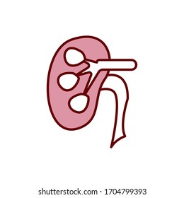 Kidney icon vector design template