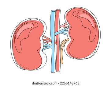 Vector de ícono de riñón en estilo doodle. Vector de concepto de nefrología y nefropatía.  Se muestran casos de pielonefritis y de cálculos renales. Ilustración de fallo renal para web