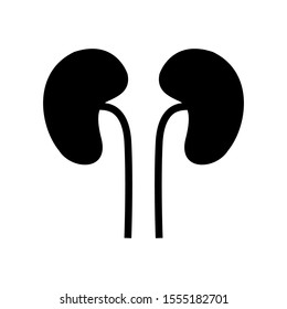 Kidney icon vector in flat style design template
