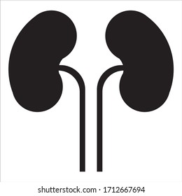 kidney icon vector graphic design