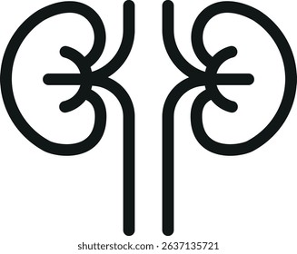  Kidney icon vector. Human body part,