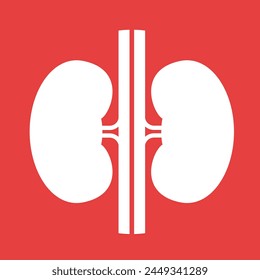 Kidney icon vector. Human kidney vector icon. Human kidneys anatomy on red background.