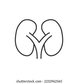 kidney icon vector human organ gealth and anatomy icon