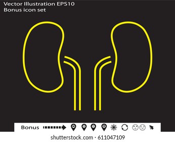 kidney, icon, vector illustration eps10